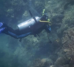 Bandit Laut Tangkolak  Penyelamat Terumbu Karang Sendulang