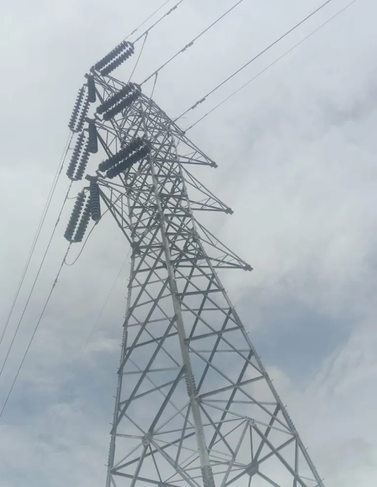 LSM Lodaya Laporkan Dugaan Pemasangan Tower SUTET Ilegal di Hutan Karawang