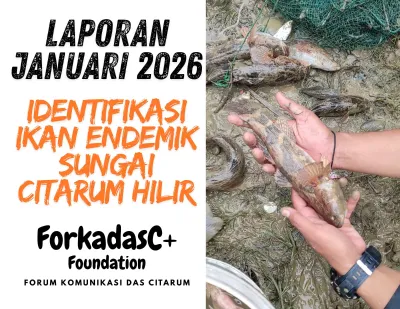 Populasi Ikan Endemik Citarum Hilir Terhimpit Spesies Invasif dan Limbah Industri