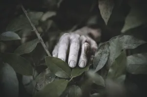 Dua Jenazah Perempuan Tanpa Identitas Ditemukan di Karawang dalam Sehari