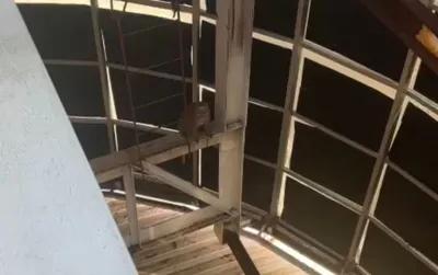 VIRAL! Seekor Kera Masuk Supermarket di Karawang Timur, Tim Damkar Sigap Lakukan Evakuasi