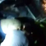 Kecelakaan Maut Elf di Majalengka, 6 Warga Karawang Tewas