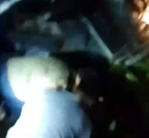 Kecelakaan Maut Elf di Majalengka, 6 Warga Karawang Tewas